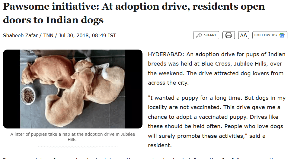 Pawsome Initiative at Adoption Drive